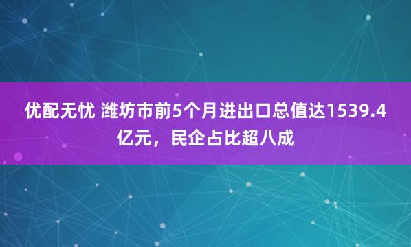 优配无忧 潍坊市前5个月进出口总值达1539.4亿元，民企占比超八成