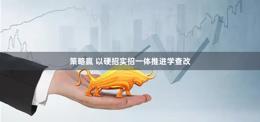 策略赢 以硬招实招一体推进学查改