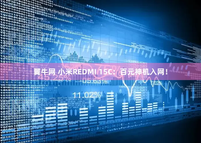 翼牛网 小米REDMI 15C：百元神机入网！