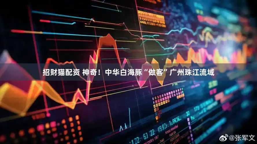 招财猫配资 神奇！中华白海豚“做客”广州珠江流域