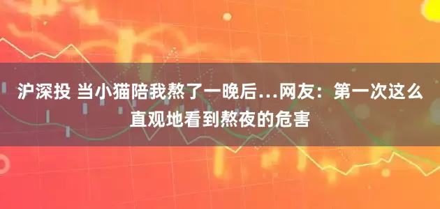 沪深投 当小猫陪我熬了一晚后…网友：第一次这么直观地看到熬夜的危害